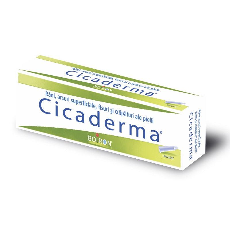 Cicaderma, 30 g, Boiron-