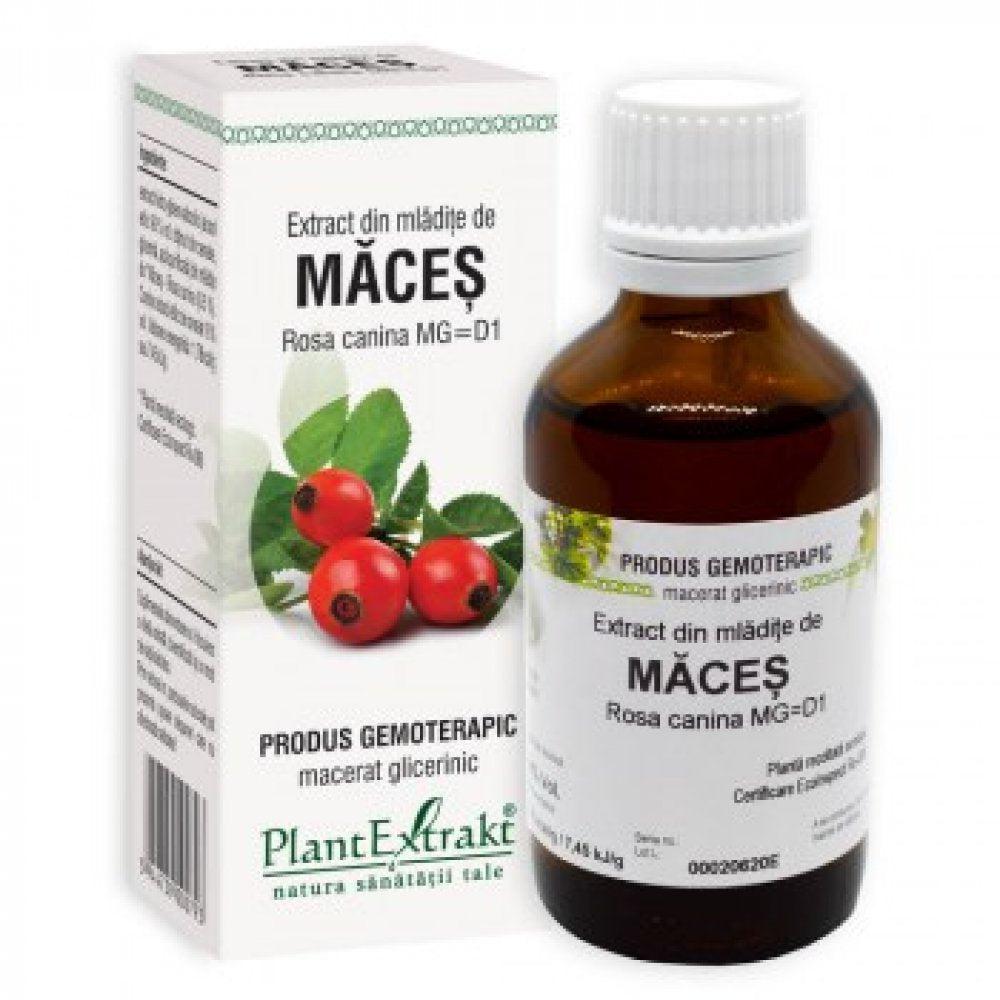 Extract din mladite de Maces, 50 ml, Plant Extrakt-