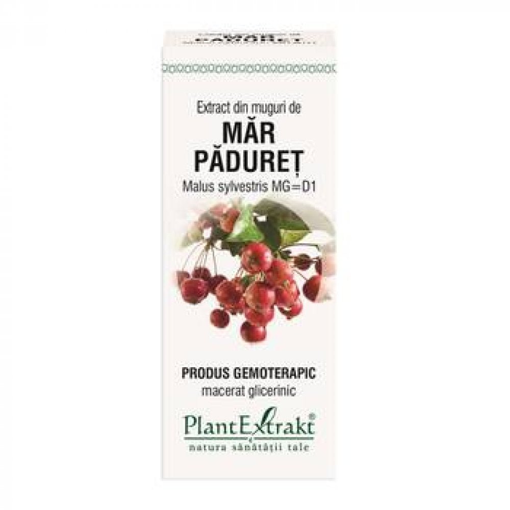 Extract din muguri de Mar Paduret, 50 ml, Plant Extrakt