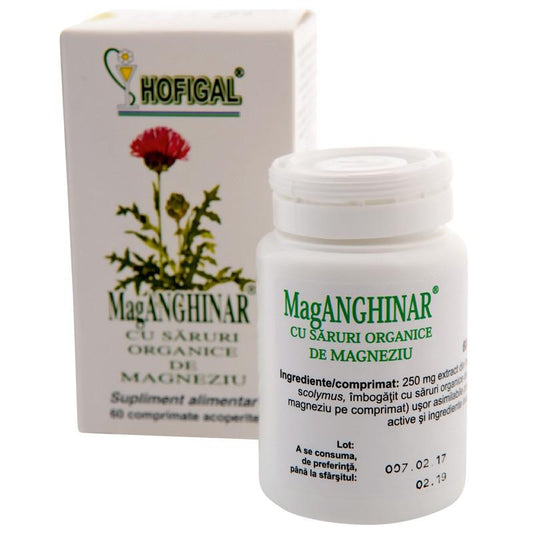 MagAnghinar, 60 comprimate, Hofigal-