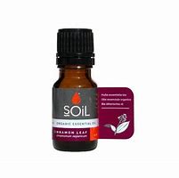 Ulei Esential Scortisoara Pur 100% Organic, 10 ml, SOiL